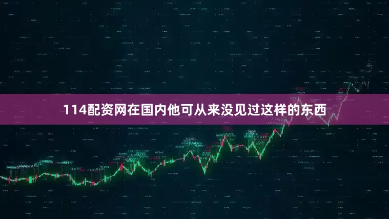 114配资网在国内他可从来没见过这样的东西
